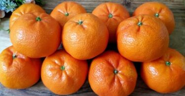 Mandarin Oranges: A Delicious Boost for Your Health